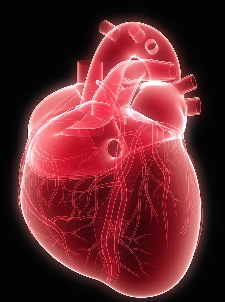 Cardiologist home visits in Milan
