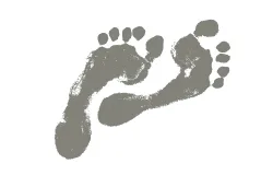 Podiatry